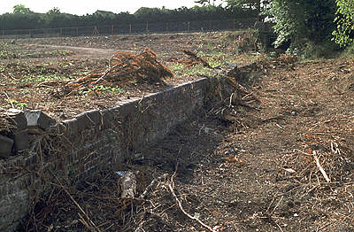 Lechlade station after the August 2003 clearance