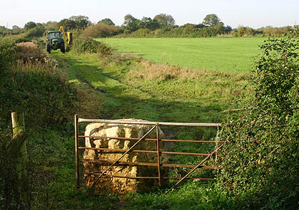 Near Alvescot in 2006